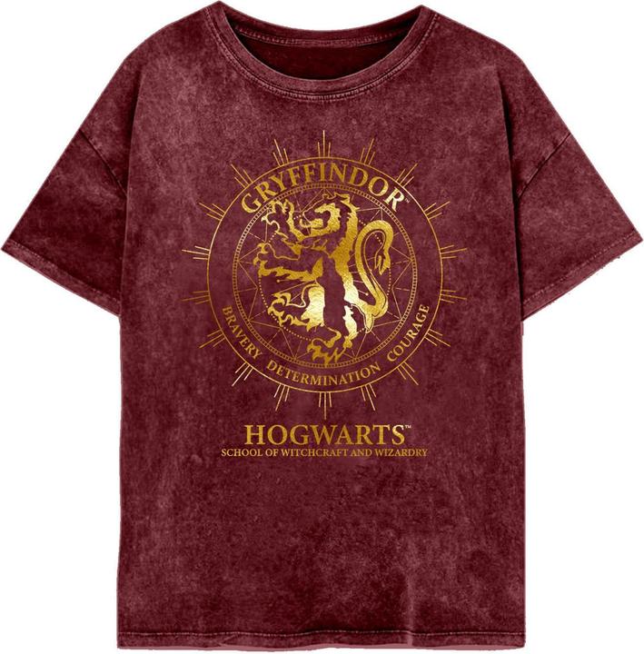 Gryffindor Constellation TShirt (L)
