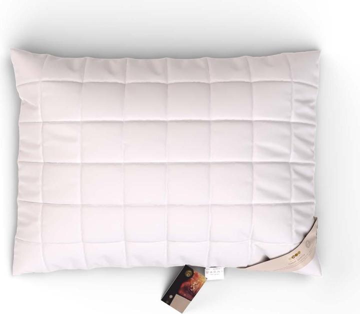 Actual product image Erzstef Objecta cushion boil-proof (50 x 70 cm)