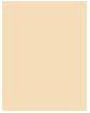 Image du produit Dior Fond de teint éclat Forever Skin 24H (2WO Olive chaude)
