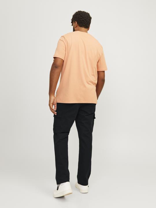 Produktbild Jack & Jones Jpstkane Jjbarkley Cargo Pant Noos Pls (46)