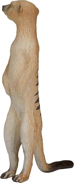Actual product image Animal Planet Meerkat