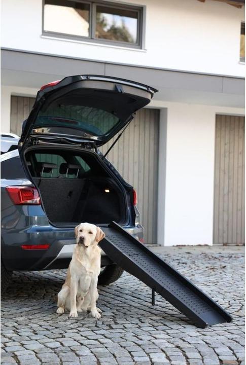 Actual product image Kerbl Dog ramp (Dog, Foldable)