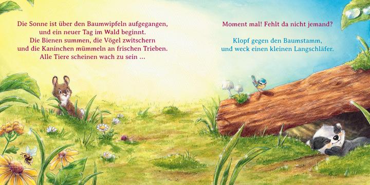 Produktbild Wer ist hier ein Frechdachs? (Deutsch)