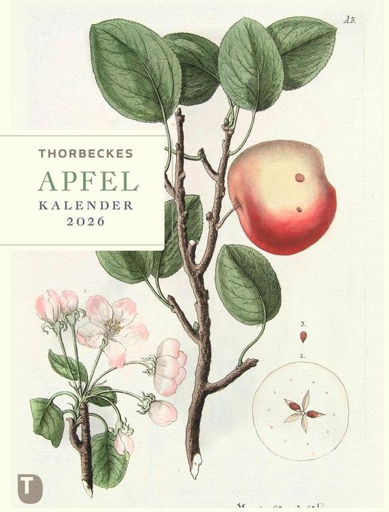 Produktbild Thorbeckes Apfel-Kalender 2026 (24 x 32 cm, Deutsch)