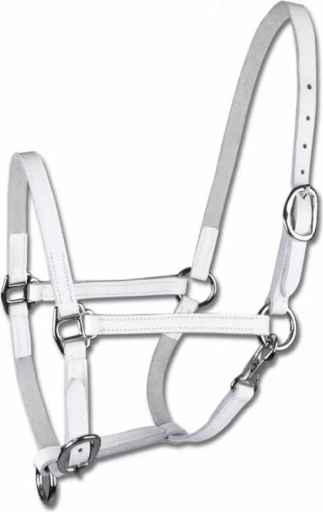 Star Pony Halfter aus Leder