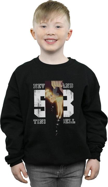 Image du produit Disney - Sweat TINKER BELL NEVERLAND - Garçon (140, 146)