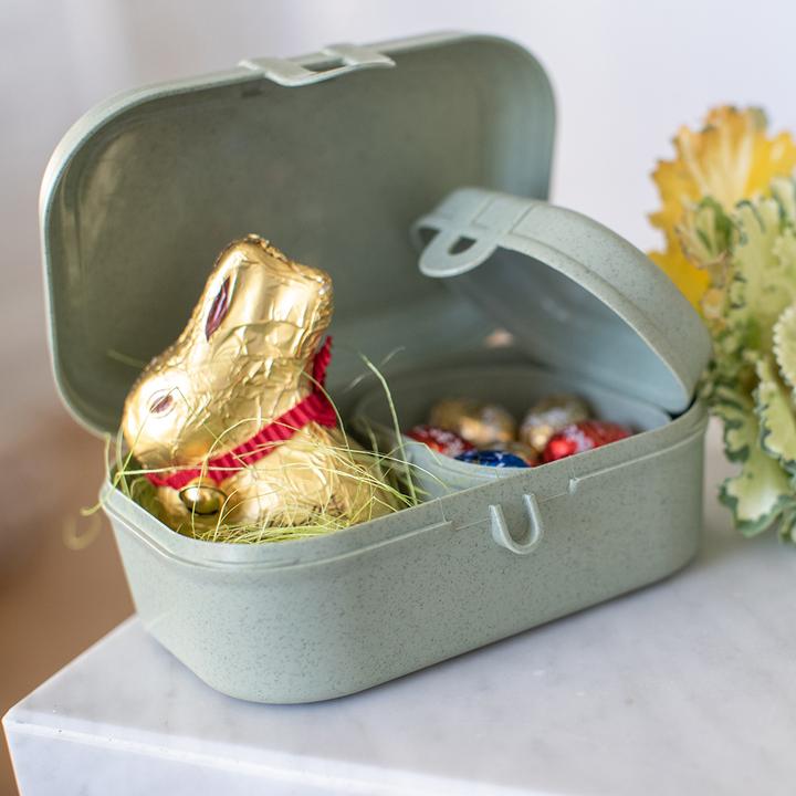 Actual product image Koziol Lunchbox Pascal S Green