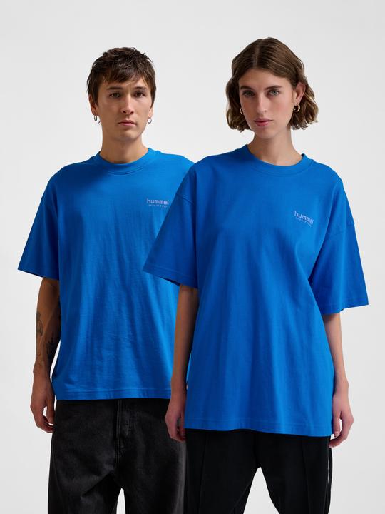 Immagine prodotto hummel hmlLOOSE T-SHIRT S/S BEES STADIUM (M)