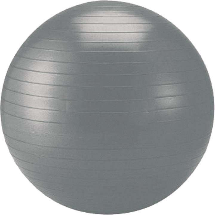 Produktbild Schildkröt Gymnastikball (55 cm)