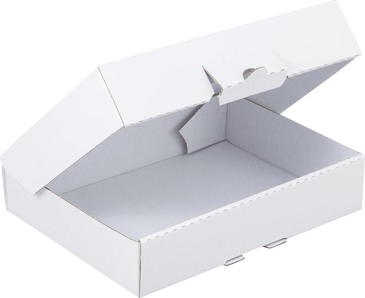 Image du produit Brieger Boîte à clapet (220 x 155 x 45 mm, 1 x)
