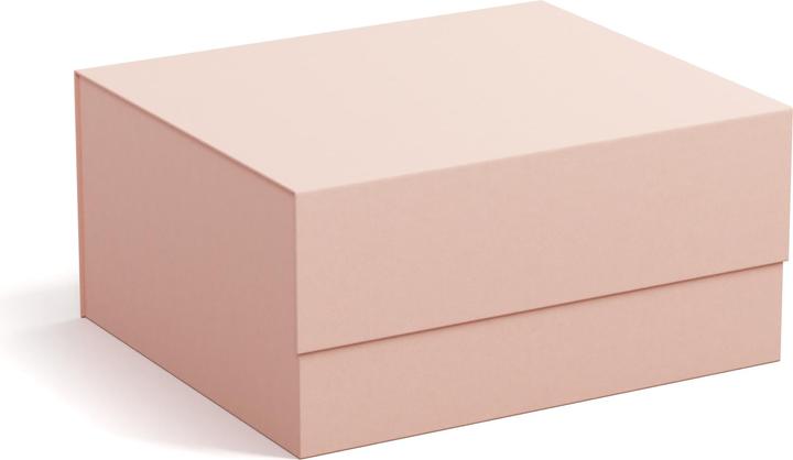 Bigso Aufbewahrungsbox Ilse