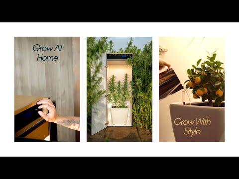 Actual product image Growfor.life Plant cabinet