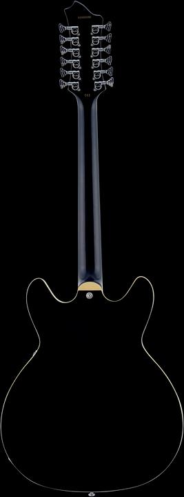 Produktbild Hagstrom E-Gitarre, Viking DLX, Black Gloss, 12-Saiter (E-Gitarre)
