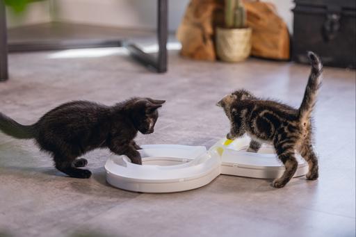 Produktbild Beeztees Bz Kitten Pl Spielschiene Agty (Beschäftigungsspielzeug Katze)