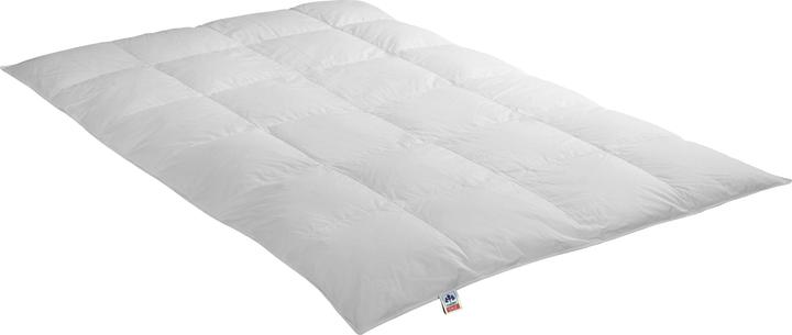 Produktbild Irisette Daunenkassettendecke Nora warm (720 g, 135 x 200 cm)