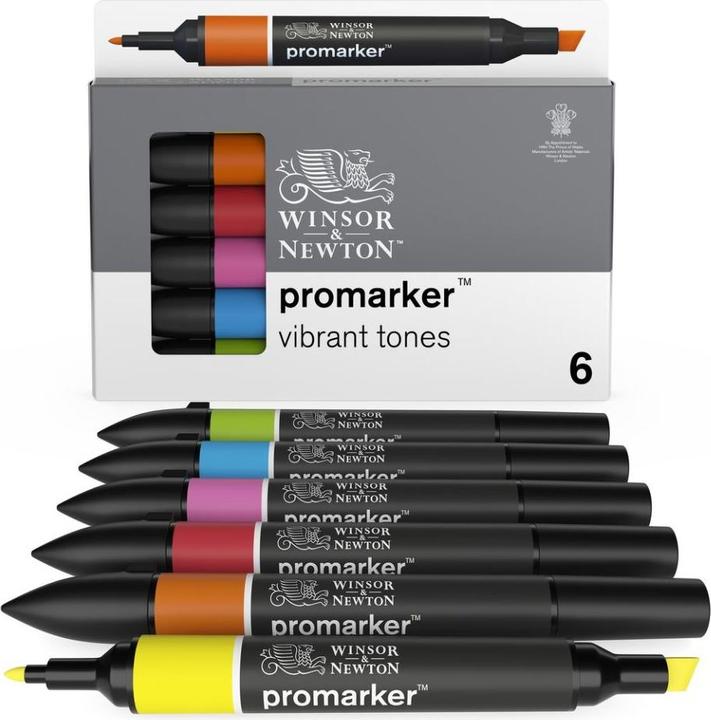 Image du produit Winsor & Newton 0290110 ProMarker, Marqueur de mise en page professionnel - 2 pointes, fine et large pour Zeic (Noir, 2 mm, 6 x)