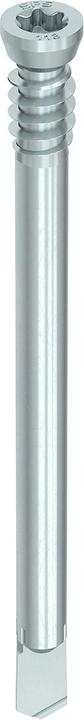 Actual product image Heco Rod dowel WS-T (1 pcs.)