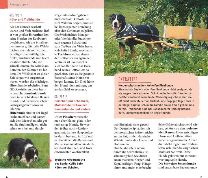 Immagine prodotto Razze di cani dalla A alla Z (1 pz., 324 g)