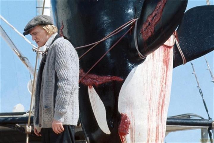 Actual product image Orca, the Killer Whale - Limited Steelbook Edition (Blu-ray, 4k Blu-ray, French, German, English)