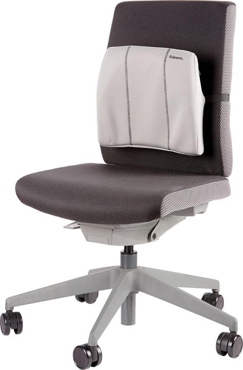 Image du produit Fellowes Smart Suites™ Slimline support dorsal graphite