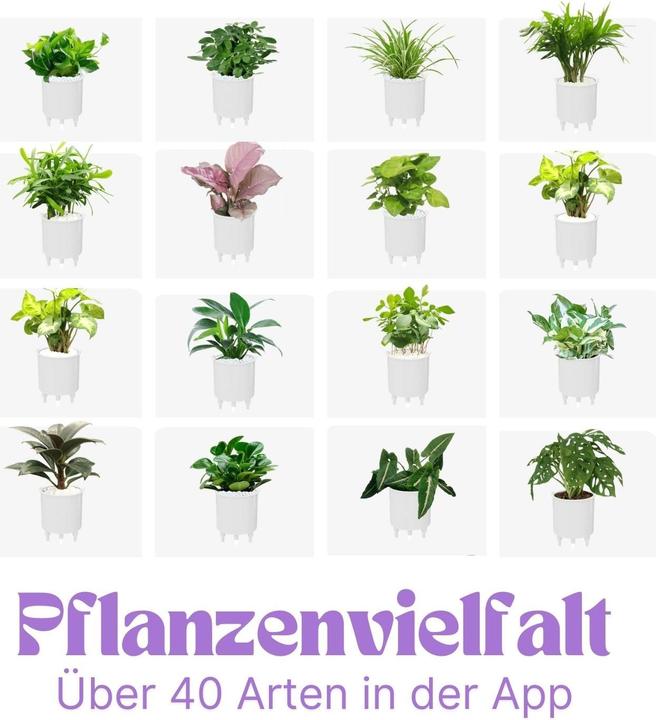 Produktbild Hermex Ivy Smart Planter (11 cm)