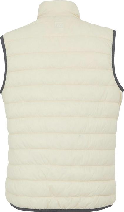Actual product image Regatta Womens/Ladies Hillpack II Gilet (52 D)