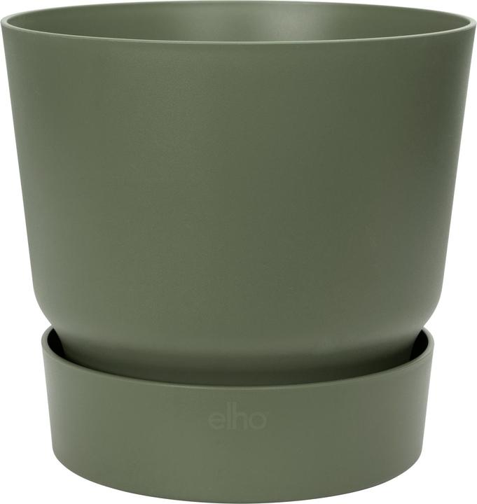 Verde foglia