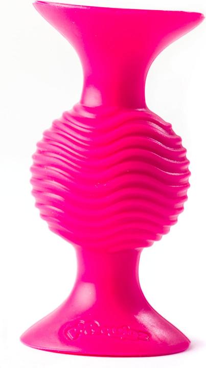 Actual product image Fat Brain Toys pip squigz