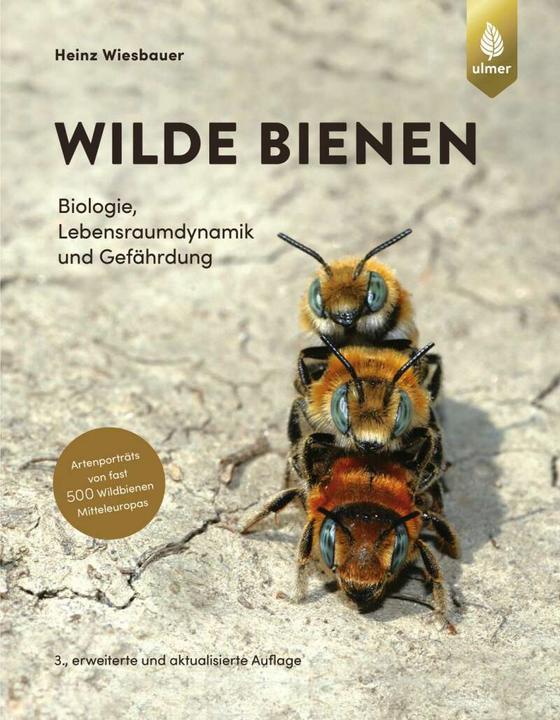 Actual product image Wilde Bienen (German, Heinz Wiesbauer, 2023)