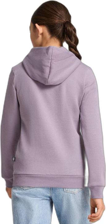 Actual product image Puma ESS Logo Hoodie FL G (164)