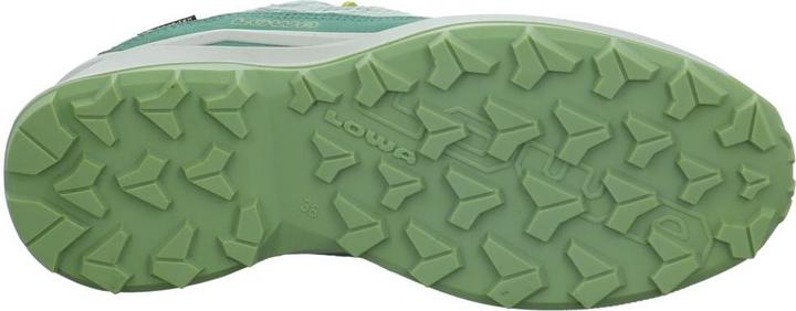 Produktbild Lowa Maddox Pro GTX LO (27)