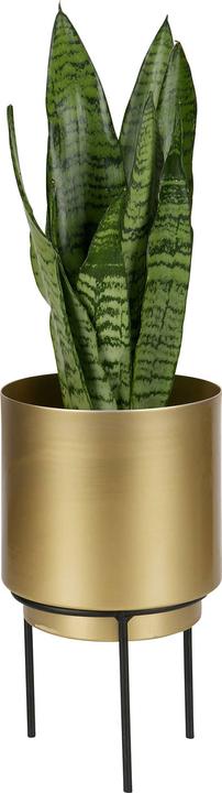 Immagine prodotto BePureHome Vaso per piante Guus Metallo Ottone Antico Ø13cm (13 cm)
