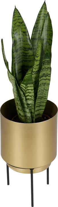 Immagine prodotto BePureHome Vaso per piante Guus Metallo Ottone Antico Ø13cm (13 cm)
