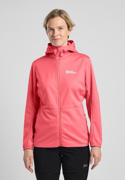 Actual product image Jack Wolfskin Feldberg Hoody W (M)