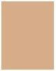 Image du produit Shiseido Sports BB Fluid SPF50+ (Fluide moyen foncé)