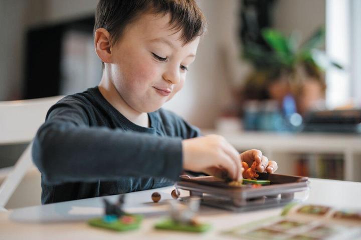 Actual product image Smart Games Squirrels Go Nuts (German, French, Italian, English)