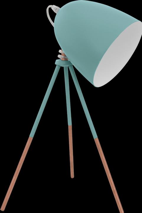 Actual product image EGLO Dundee (E27)
