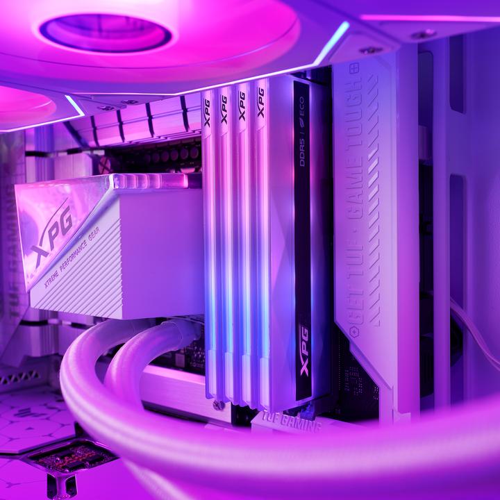 Actual product image Adata XPG Lancer Neon RGB (2 x 24GB, 7200 MHz, DDR5 RAM, DIMM)