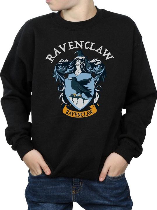 Actual product image Sweatshirt boys (116)