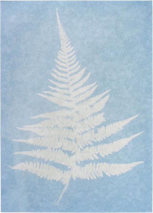 Actual product image Sun printing paper PhänoMINT