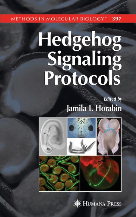 Produktbild Hedgehog Signaling Protocols (2010)