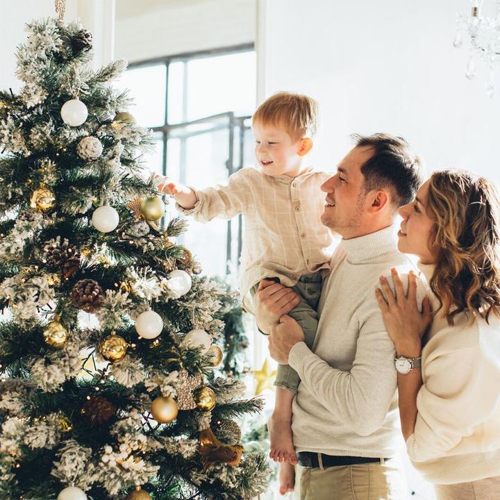 Image du produit Hermex Couverture de l'arbre de Noël (1 -pièce)