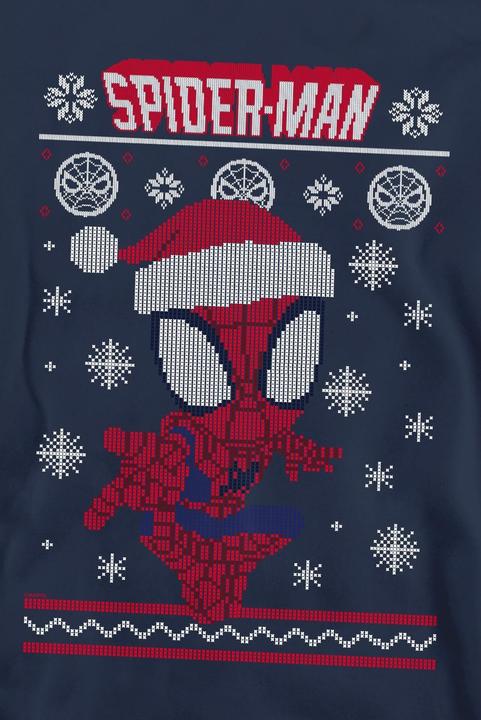 Produktbild Spiderman Sweatshirt (XL)