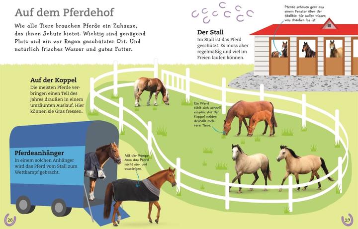 Produktbild Pferde und Ponys (Deutsch, DK Verlag - Kids, 2019)