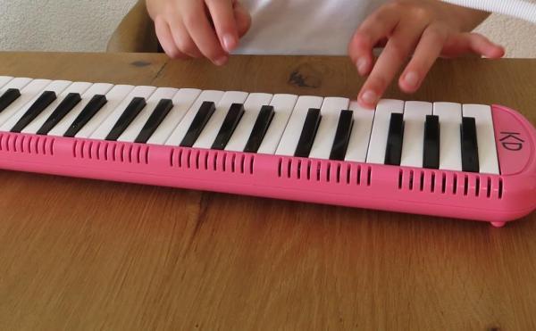 Produktbild keepdrum Melodica Pink 37 Tasten mit Tasche und Notenheft (Deutsch)