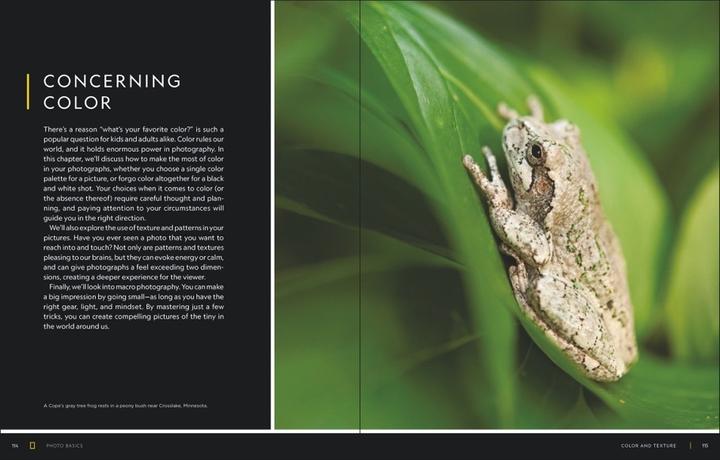 Immagine prodotto National Geographic Foto Basics (Tedesco, Joel Sartore, 2020)