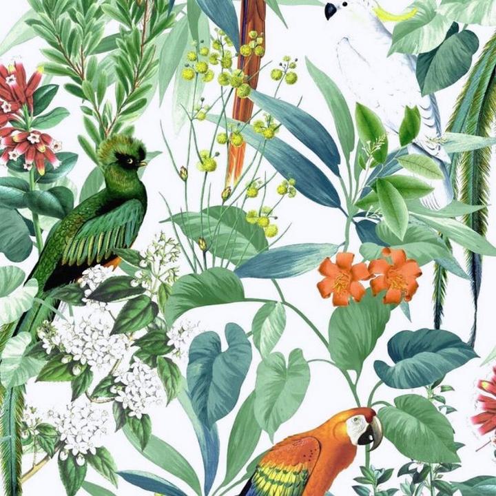 Image du produit World of Wallpaper - Papier peint IKALA (53,5 x 978,5 cm)