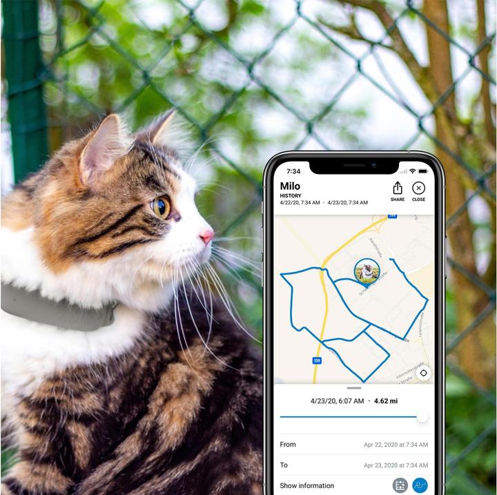 Immagine prodotto Tractive Cat Tracker GPS LTE (Gatto, Generale)