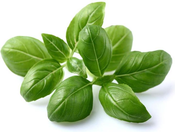Image du produit Click and Grow Basil (Graines d'herbes aromatiques)