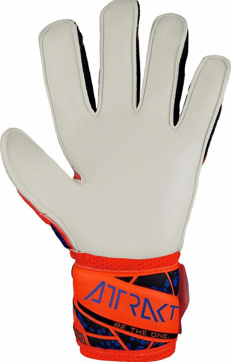 Produktbild Reusch torwarthandschuhe kind attrakt solid (5.5)